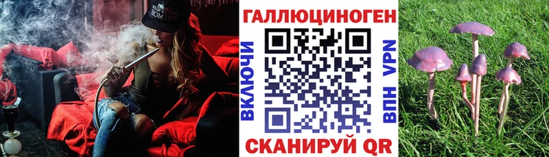 Галлюциногенные грибы Psilocybe  Сасово 